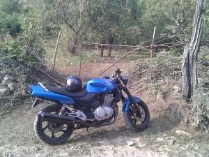 Vand Motocicleta Honda CB500 2002 in Caras-Sverin / Timis - 1100 eur