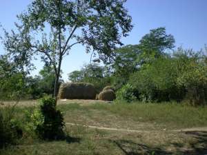 Casa batraneasca de vanzare la tara in jud Giurgiu