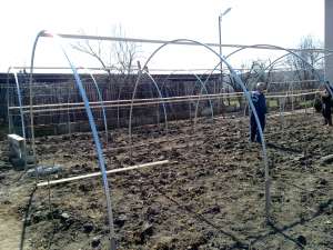 arce si arcade solar solarii constructii sere legume