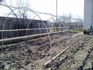 arce si arcade solar solarii constructii sere legume