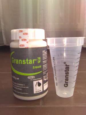 Vand erbicid GRANSTAR 75DF 20lei/ha tel.0766226358