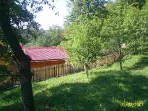 teren Nistoresti,  Prahova