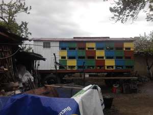 pavilion apicol 48 familii