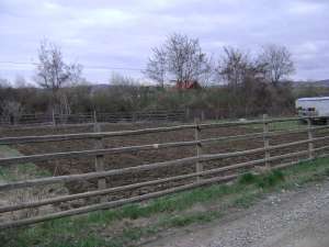 Vand teren in Moldovenesti