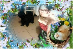 vand pui de bichoni maltese