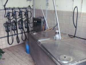 AUTOMATE DE LAPTE/ MULGATORE/ SISTEMA DE MULS