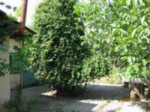 vanzare casa+teren