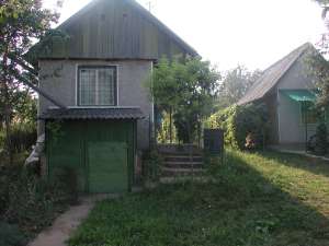 Gradina de vie