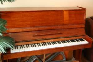 Vand pianina BELARUS-NOU