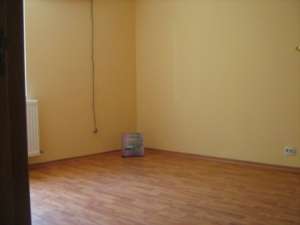 Vila de inchiriat zona Calea Calarasilor 250mp