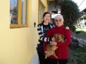 Pierdut catel talie mica zona garii - recompensa