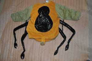 Costume carnaval copii