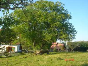 Vand Teren intravilan BRAN