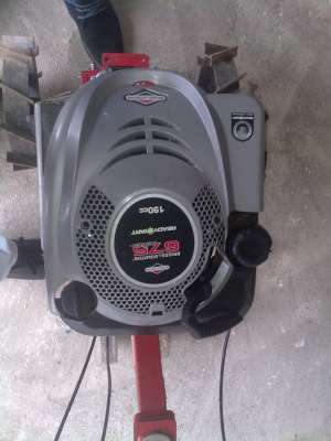 Vand motosapatoare Robix 6 cp