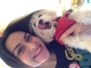 BICHON MALTEZ CAUTA BICHONITZA