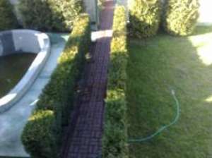 Proprietar vand casa la curte cu mansarda,  livada si piscina