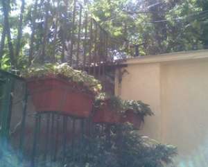 Studio rentale centrul Sofia Bulgaria strada Solunska