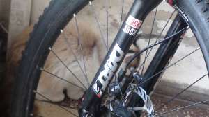 vand bicicleta montenbike commencal sua