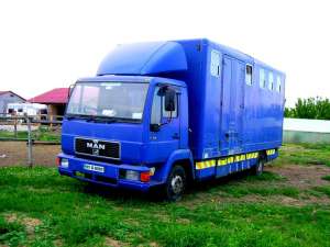 Camion pentru cai