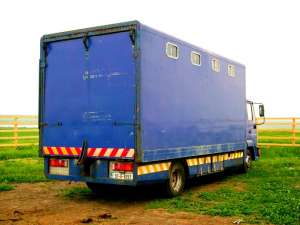 Camion pentru cai