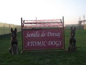 Scoala de dresaj Canin Atomic Dogs RM.VALCEA