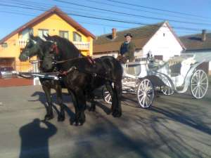 TRASURA DE INCHIRIAT