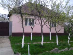 vand casa in cihei