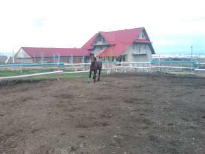 DECATHLON SUSTINE ECHITATIA (calarie)IN IASI PT REZ 0758954431