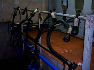 mulgatoare pentru capre ALFA LAVAL