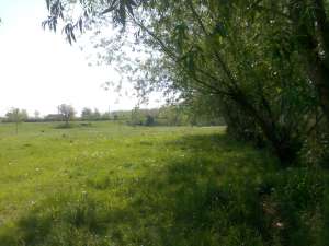 vand 25000 mp teren intravilan