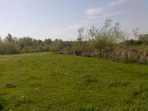 vand 25000 mp teren intravilan