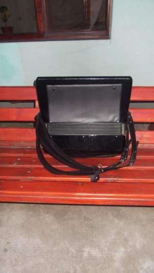 Vand acordeon parrot