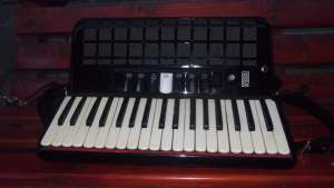 Vand acordeon parrot