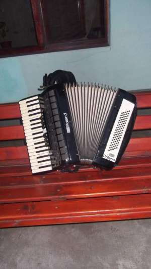 Vand acordeon parrot