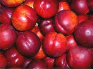 LEGUME FRUCTE DE SEZON DIN GRECIA