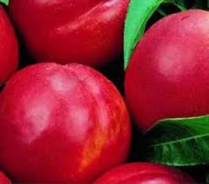 LEGUME FRUCTE DE SEZON DIN GRECIA