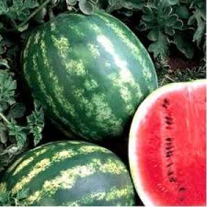 LEGUME FRUCTE DE SEZON DIN GRECIA