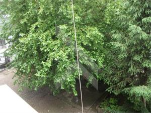 OFER AP 4 CAMERE PENTRU INCHIRIERE
