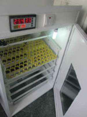 incubator full automat