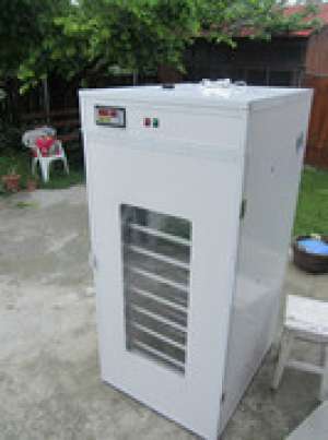 incubator full automat