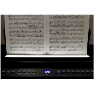Pian digital Roth&Junius DP-220B Set