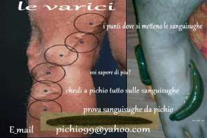lipitori hirudomedicinale