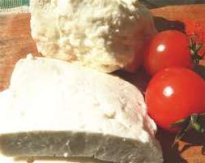 Super Oferta VAND BRANZA DE CAPRA CURATA PROASPATA