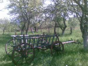 Car de Lemn(vand sau variante)