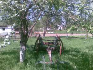 Car de Lemn(vand sau variante)