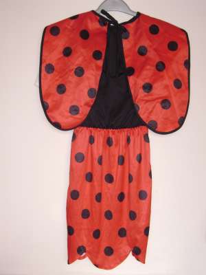 inchiriez costume pentru serbare