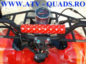 ATV  HUMMER  GRIZZLY  2013  diverse  BONUSURI