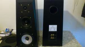 BOXE AUDIO PERFECT 100W