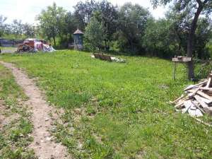 VAND TEREN(intravilan/extravilan) in ortelec, 50 ari