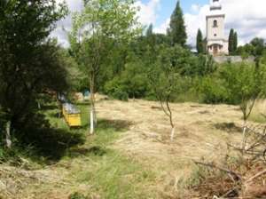 teren Zalau